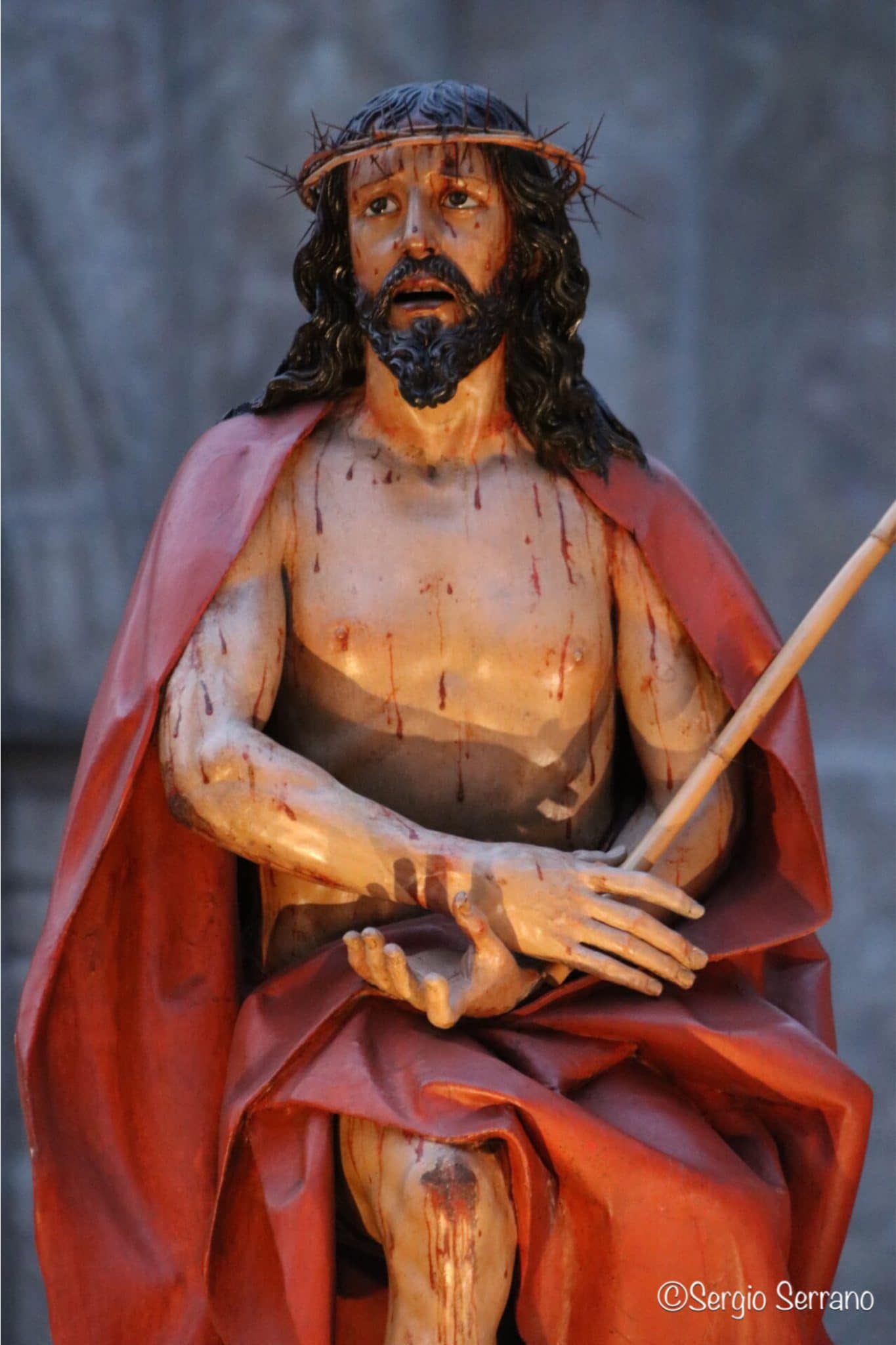 Semana Santa en Valladolid - Procesión de regla cofradía de la Santa Vera Cruz